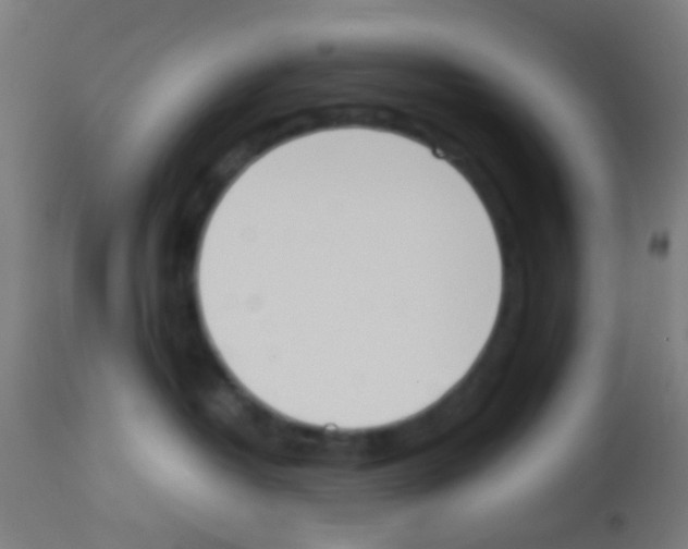 X0000113170382200910161313
