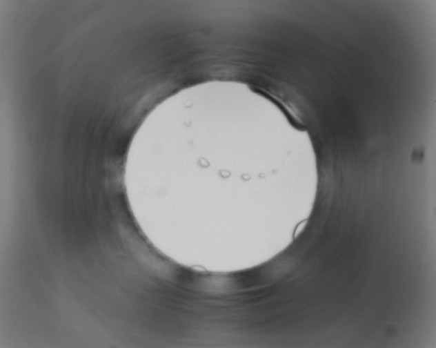 X0000113170383200910161313
