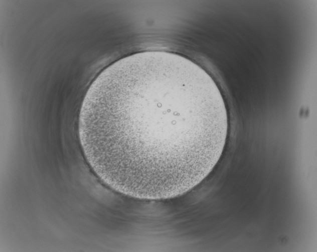 X0000113170385200910161313