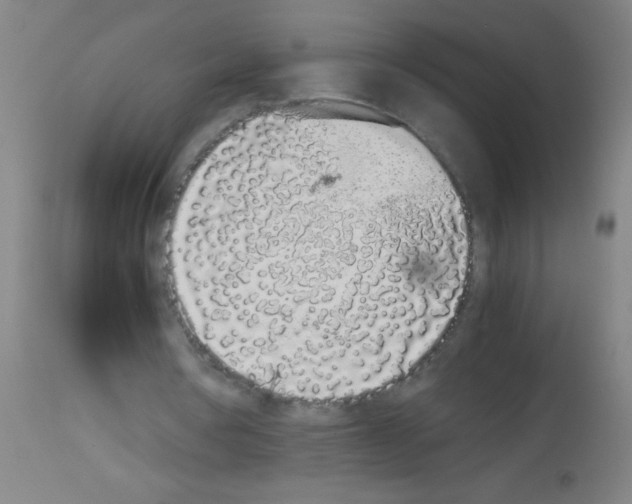 X0000113170386200910161313
