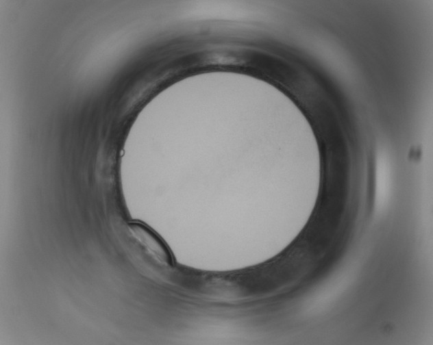 X0000113170387200910161313