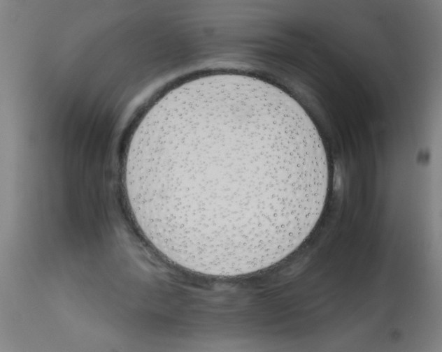 X0000113170388200910161312