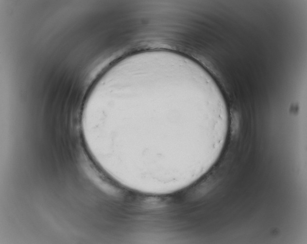 X0000113170390200910161312