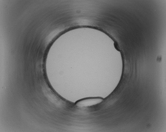 X0000113170391200910161312