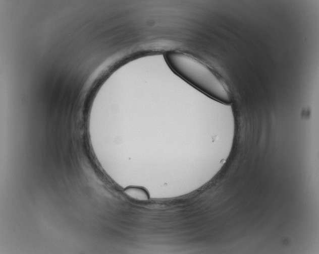 X0000113170392200910161312