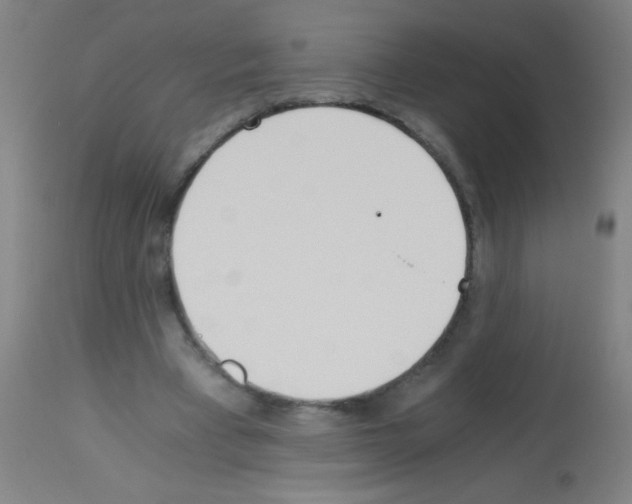 X0000113170393200910161312