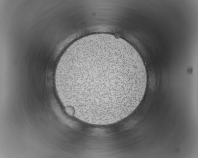 X0000113170394200910161312