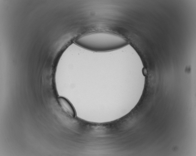 X0000113170395200910161312