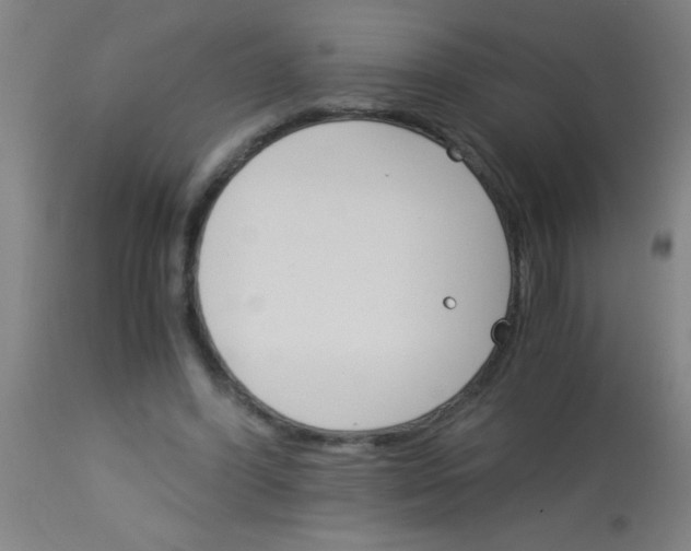 X0000113170396200910161312