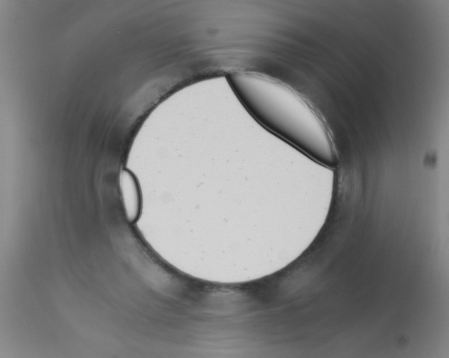 X0000113170397200910161312