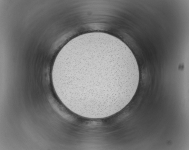 X0000113170398200910161312