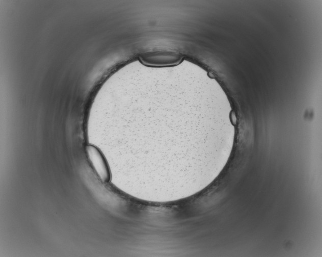 X0000113170399200910161312