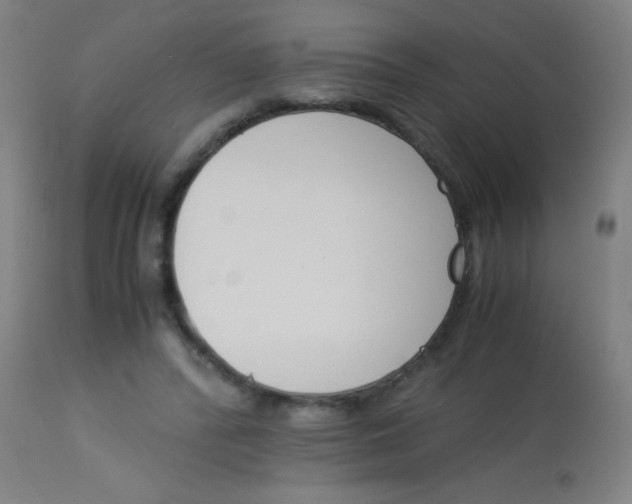 X0000113170400200910161312