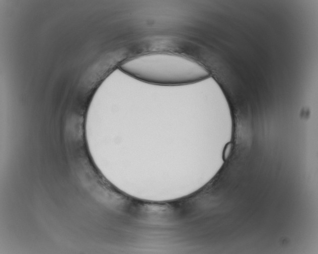 X0000113170401200910161312