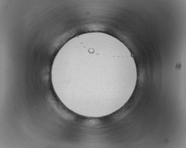 X0000113170402200910161312