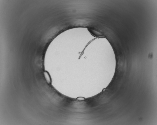 X0000113170403200910161312