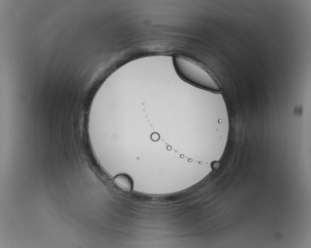 X0000113170404200910161312