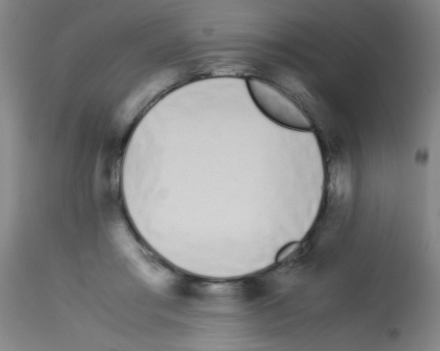 X0000113170405200910161312