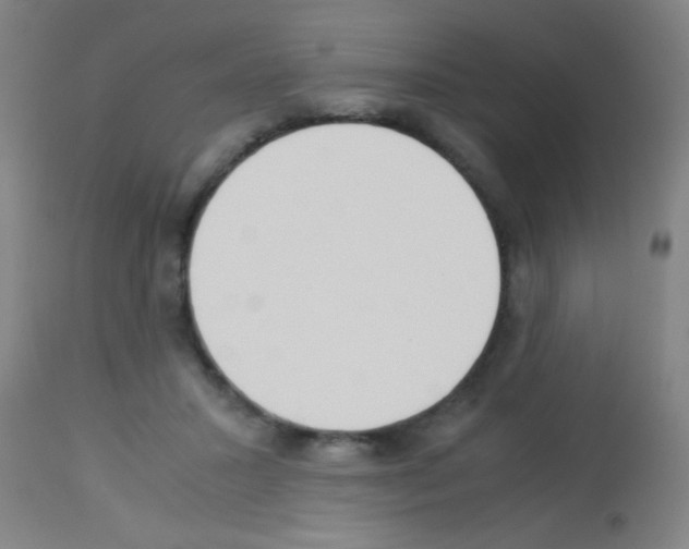 X0000113170407200910161312
