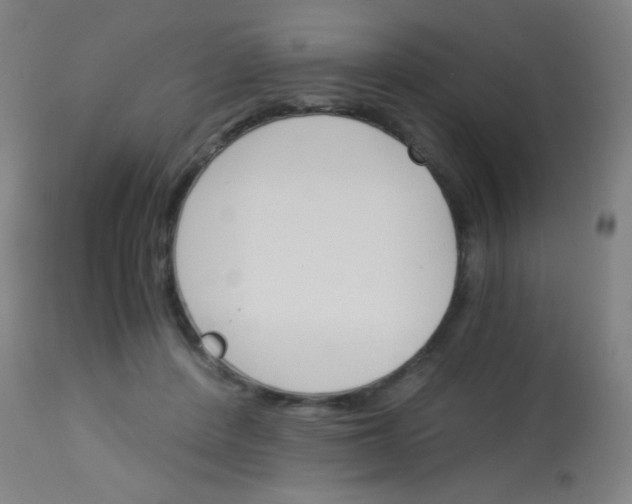 X0000113170408200910161312