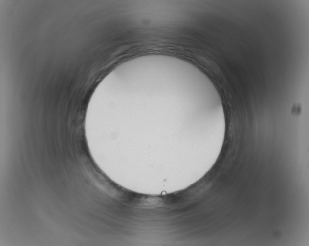 X0000113170409200910161312
