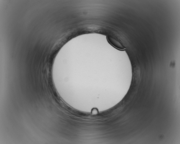 X0000113170412200910161312