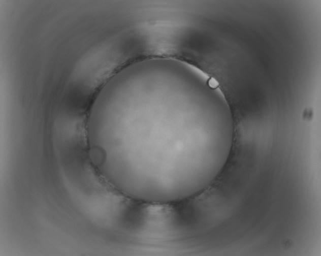 X0000113170415200910161312