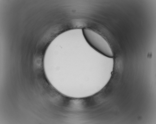 X0000113170417200910161312