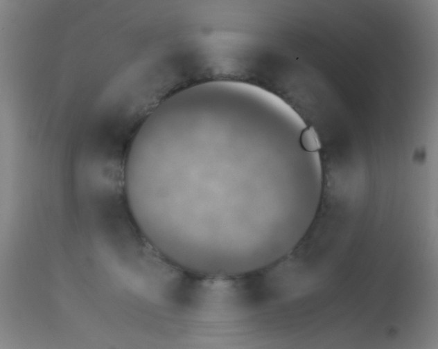 X0000113170419200910161312