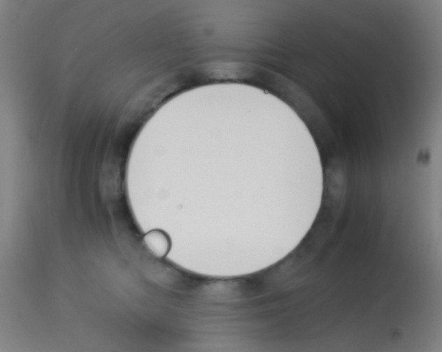 X0000113170422200910161312
