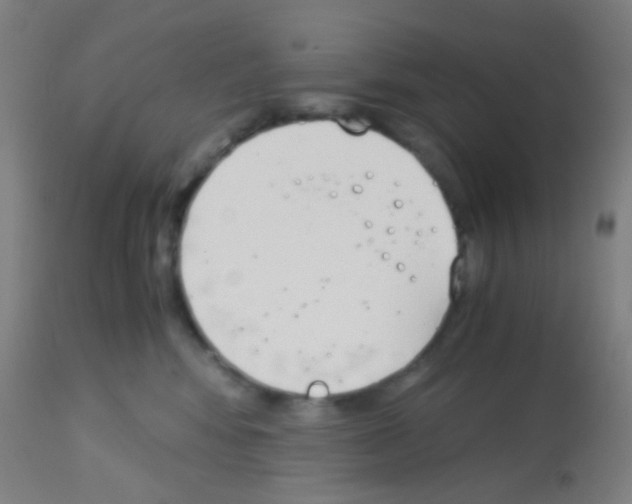 X0000113170424200910161312
