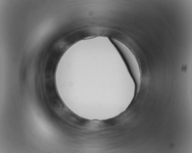 X0000113170429200910161312