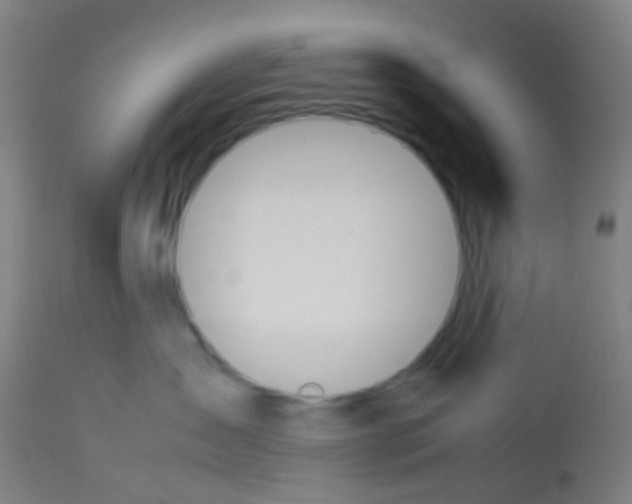X0000113170431200910161312