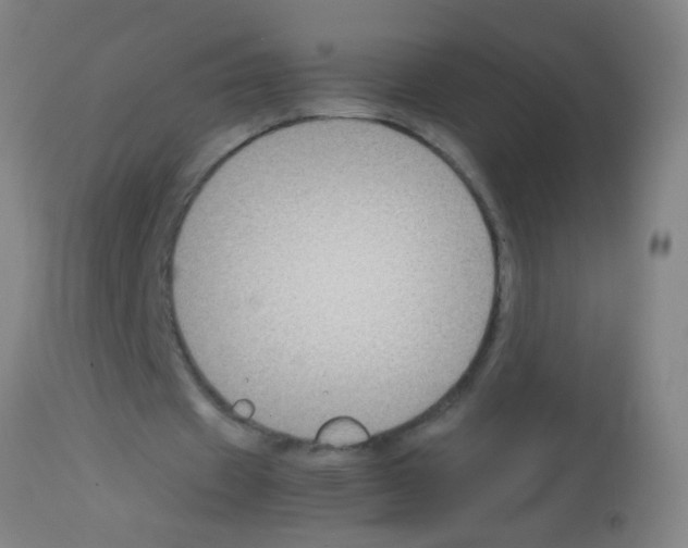 X0000113170433200910161311