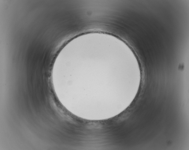 X0000113170434200910161311
