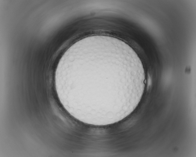 X0000113170435200910161311