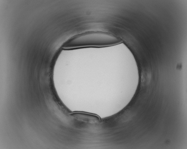X0000113170436200910161311