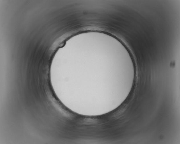 X0000113170437200910161311
