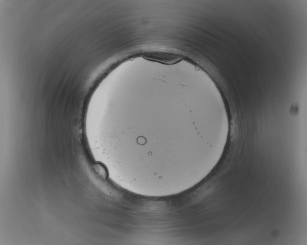 X0000113170438200910161311