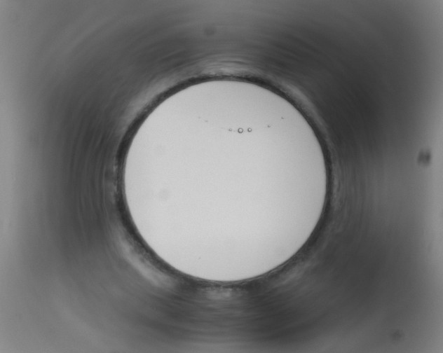X0000113170439200910161311