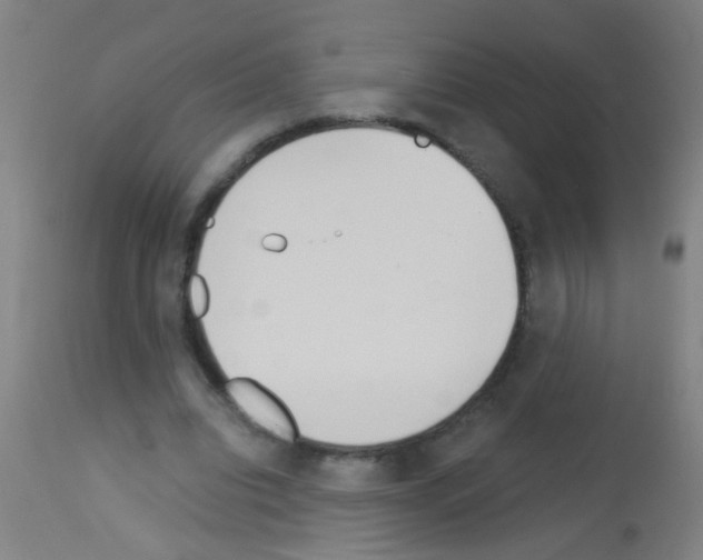 X0000113170440200910161311