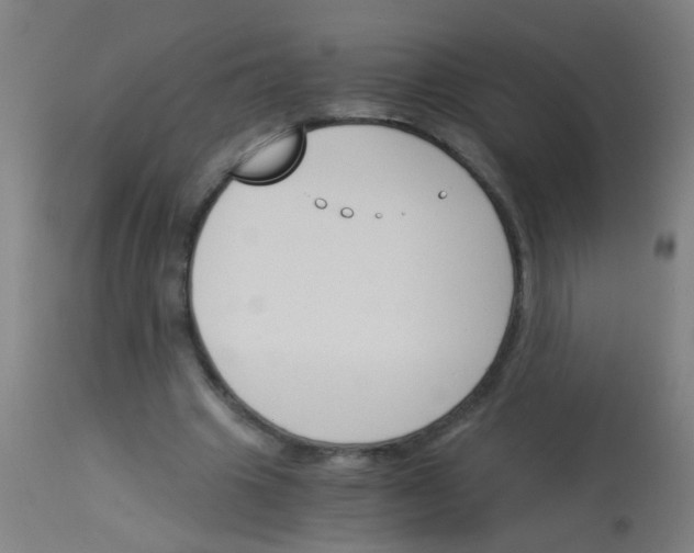 X0000113170441200910161311
