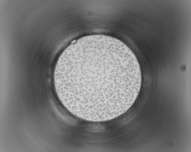 X0000113170443200910161311