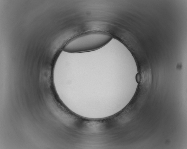 X0000113170444200910161311