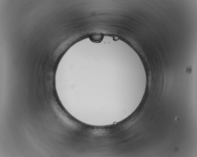 X0000113170445200910161311