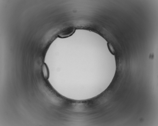 X0000113170448200910161311