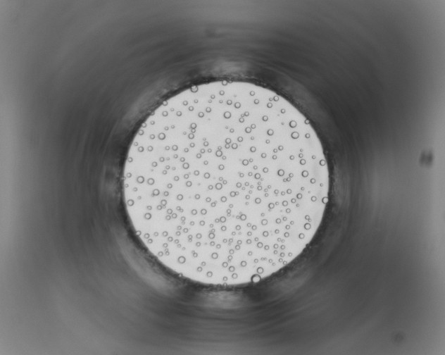X0000113170449200910161311