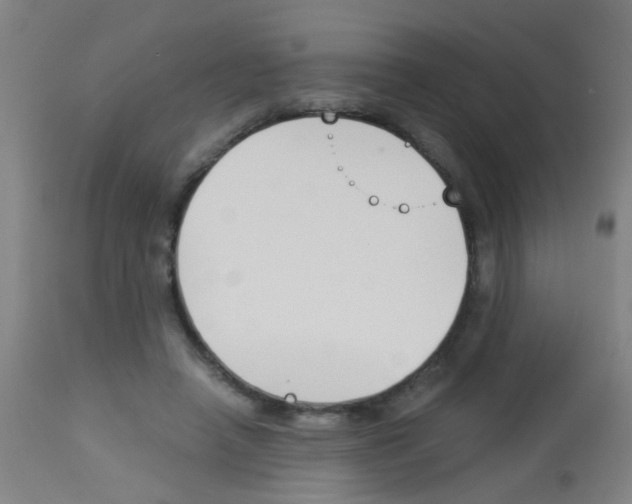 X0000113170450200910161311