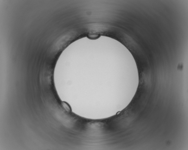 X0000113170452200910161311