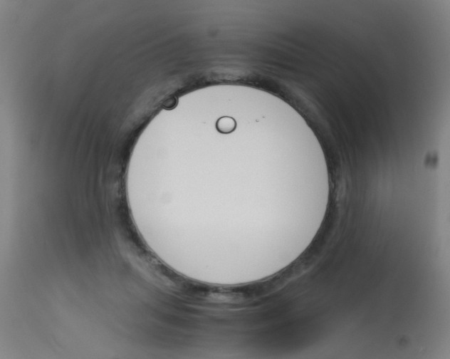 X0000113170455200910161311
